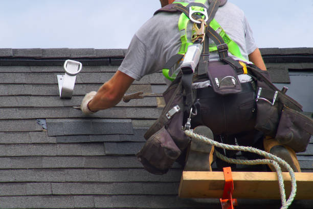 Best Fascia and Soffit Installation  in Somerset, WI