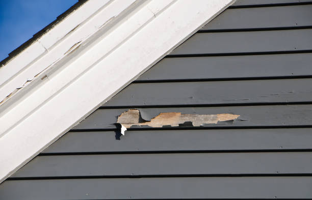 Best Brick Veneer Siding  in Somerset, WI