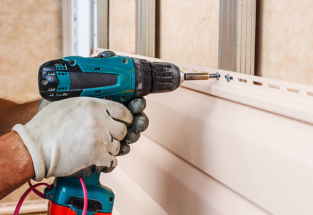 Best Residential Vinyl Siding Installation  in Somerset, WI